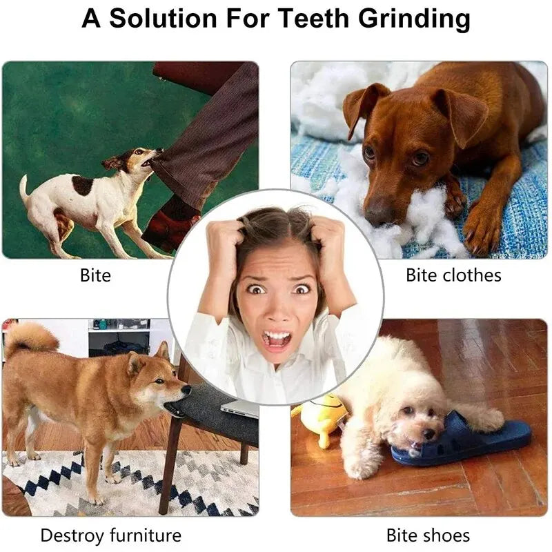 Petzii Chew & Play Ball – Nontoxic Bite-Resistant Toy for Dogs & Cats