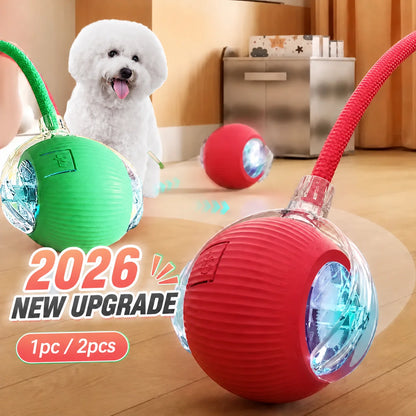 Interactive Self-Rolling Dog Ball