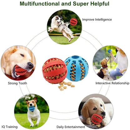 Petzii Chew & Play Ball – Nontoxic Bite-Resistant Toy for Dogs & Cats