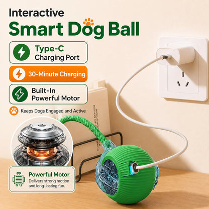 Interactive Self-Rolling Dog Ball