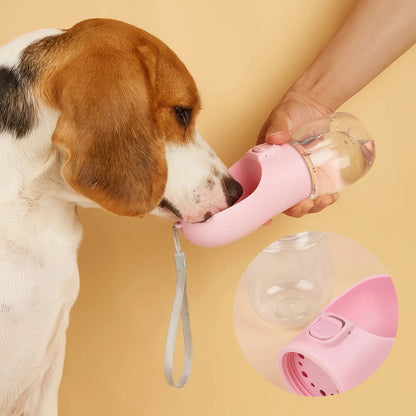 On-the-Go Pet Water Bottle