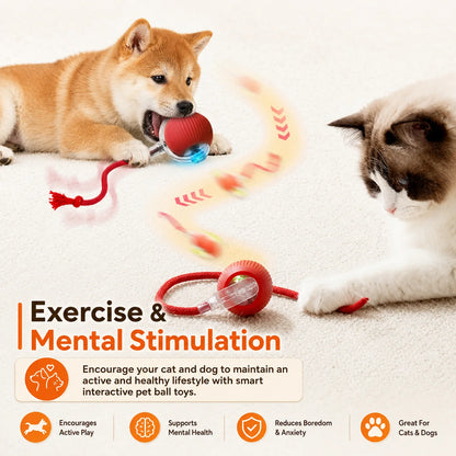 Interactive Self-Rolling Dog Ball
