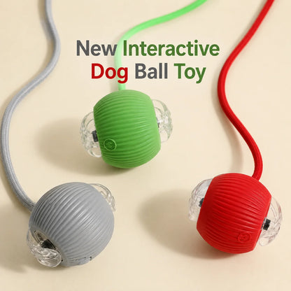 Interactive Self-Rolling Dog Ball
